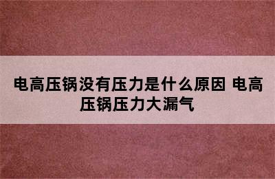 电高压锅没有压力是什么原因 电高压锅压力大漏气